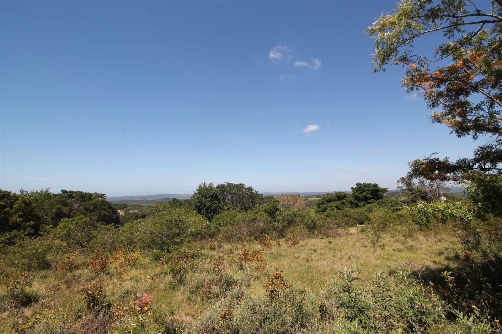 5403 m² Land available in Bathurst and Surrounds photo number 1
