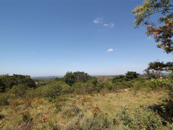 5403 m² Land available in Bathurst and Surrounds