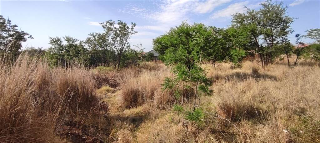 922 m² Land available in Doringkruin photo number 2