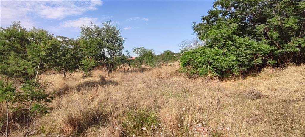 922 m² Land available in Doringkruin photo number 3