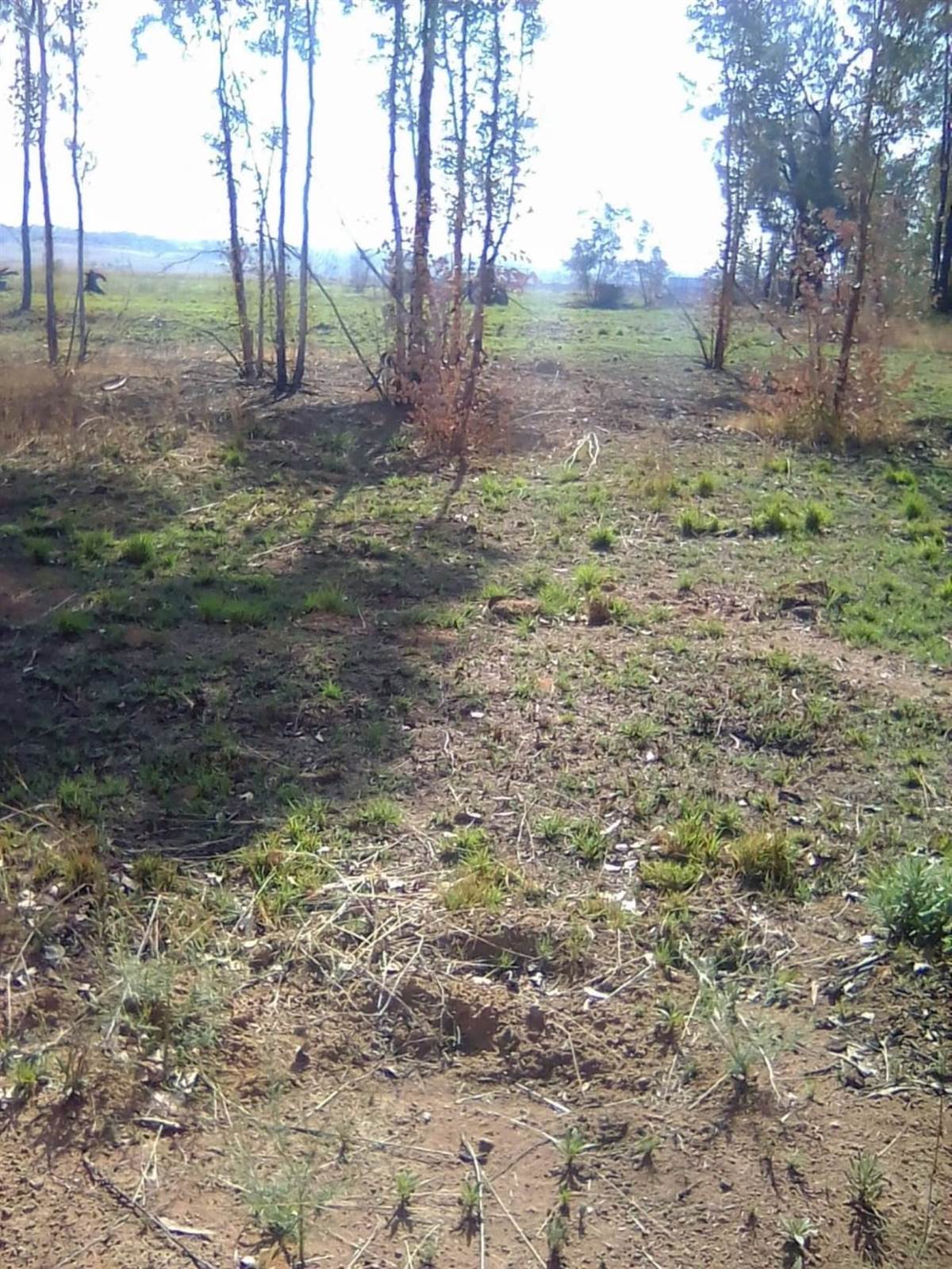 5.4 ha Land available in Honingnestkrans photo number 1
