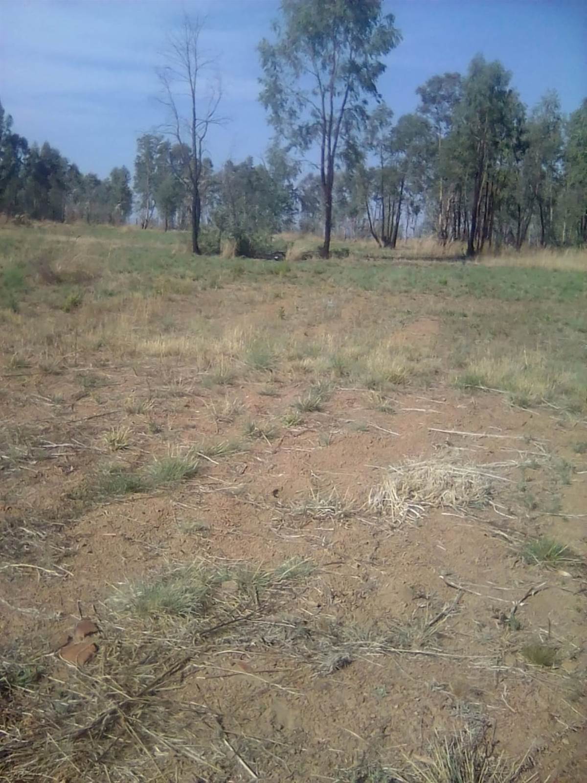 5.4 ha Land available in Honingnestkrans photo number 3