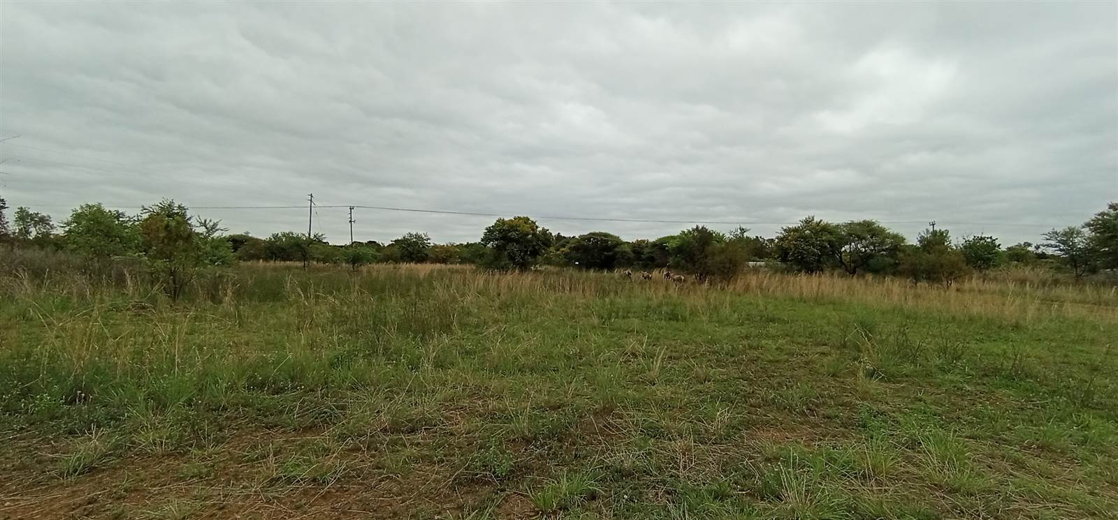 4.2 ha Land available in Mooiplaats AH photo number 29