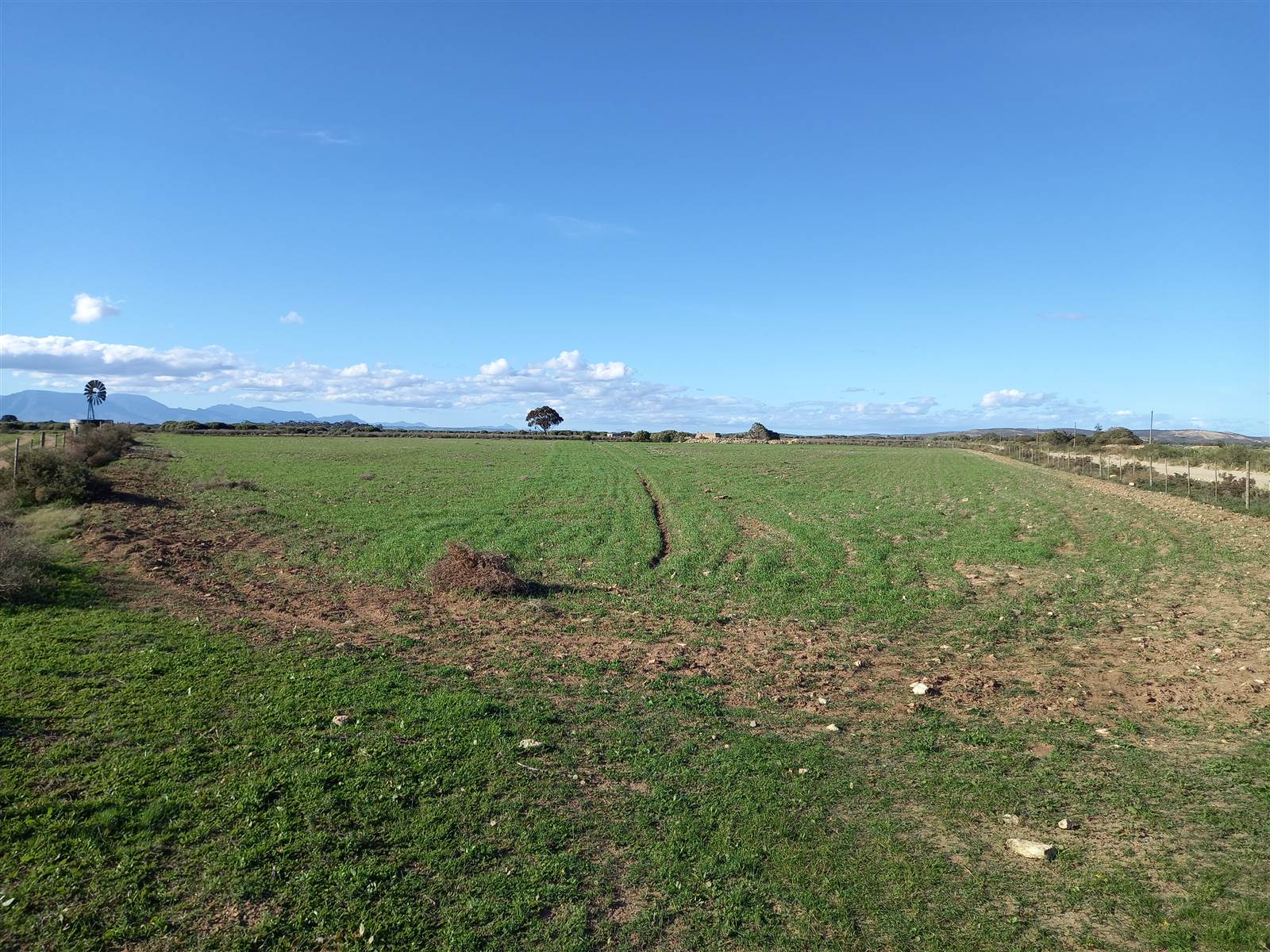 50 ha Farm in Riversdale photo number 27