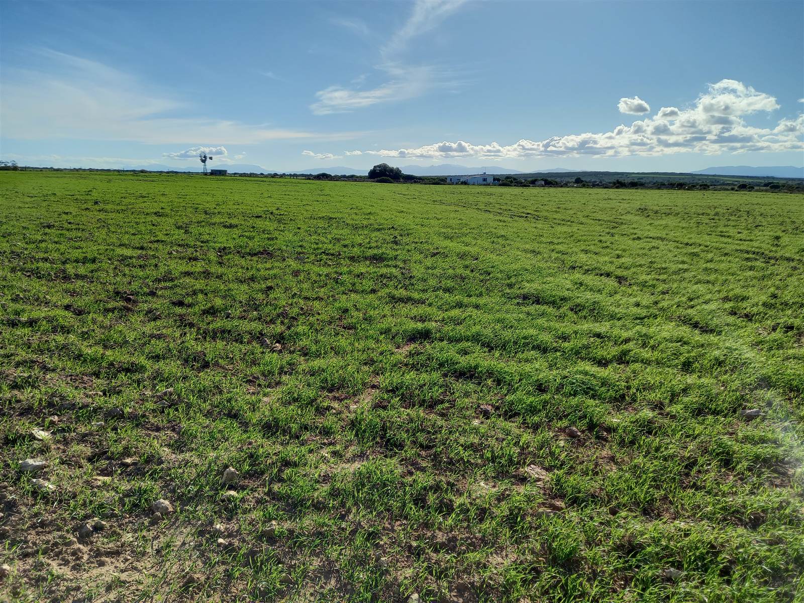 50 ha Farm in Riversdale photo number 26