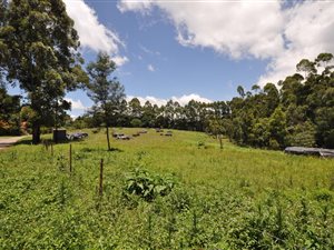 3.6 ha Land available in Hilton