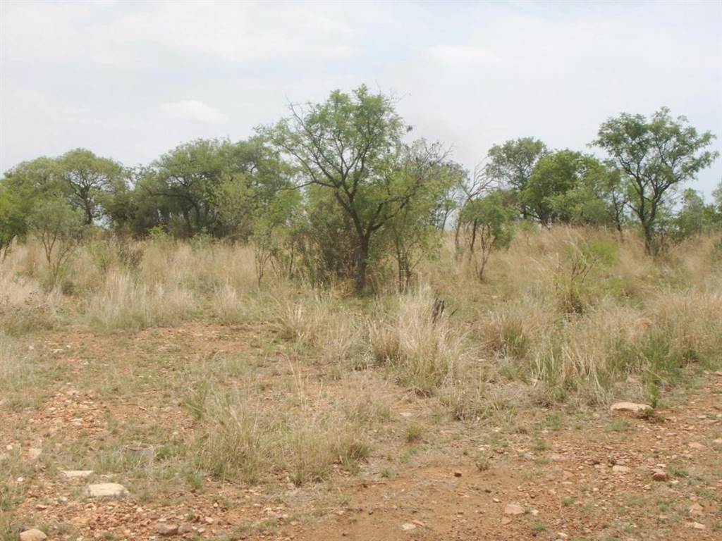980 m² Land available in Seasons Lifestyle Estate photo number 6