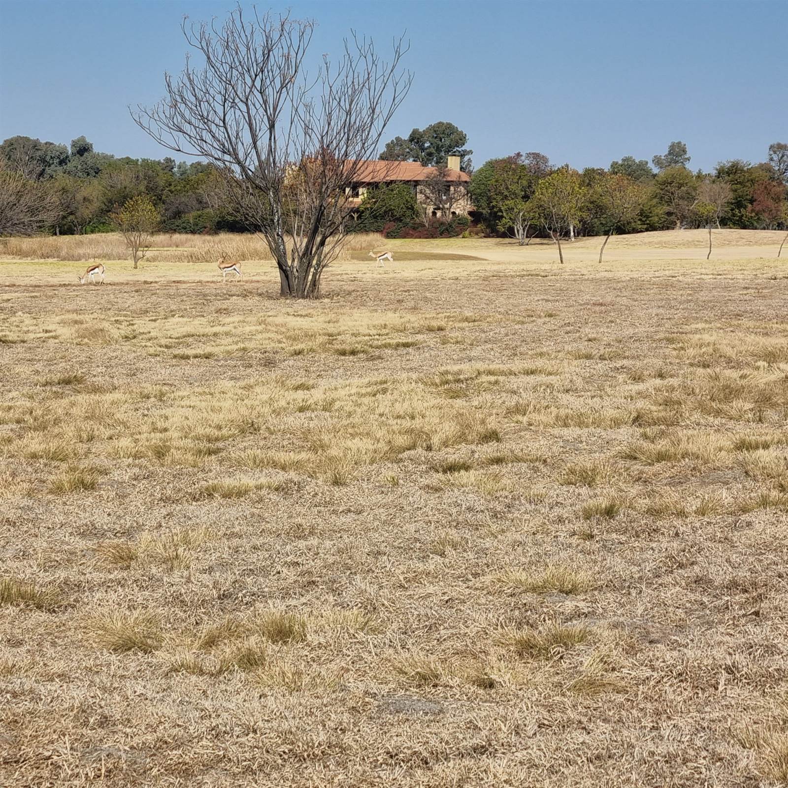 3015 m² Land available in Blair Atholl Estate photo number 3