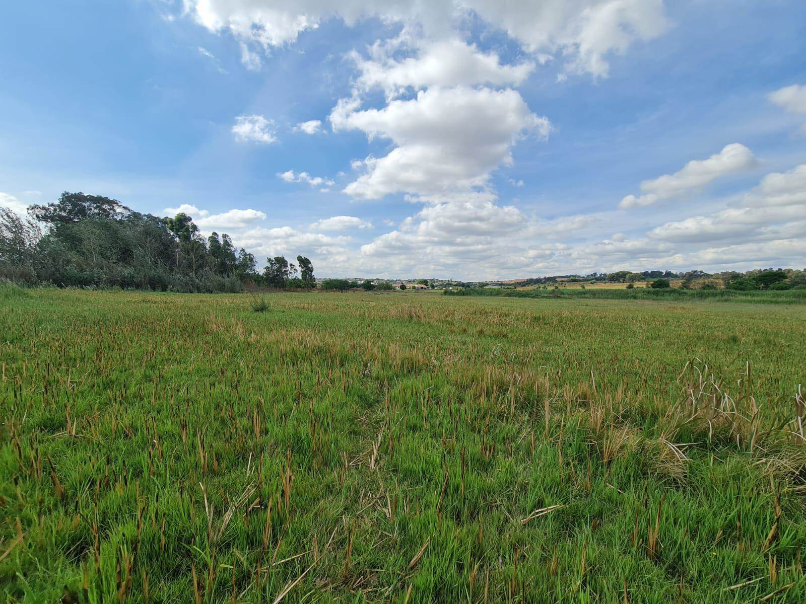 5.1 ha Land available in Wadeville photo number 11