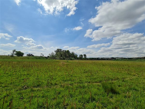 5.1 ha Land available in Wadeville