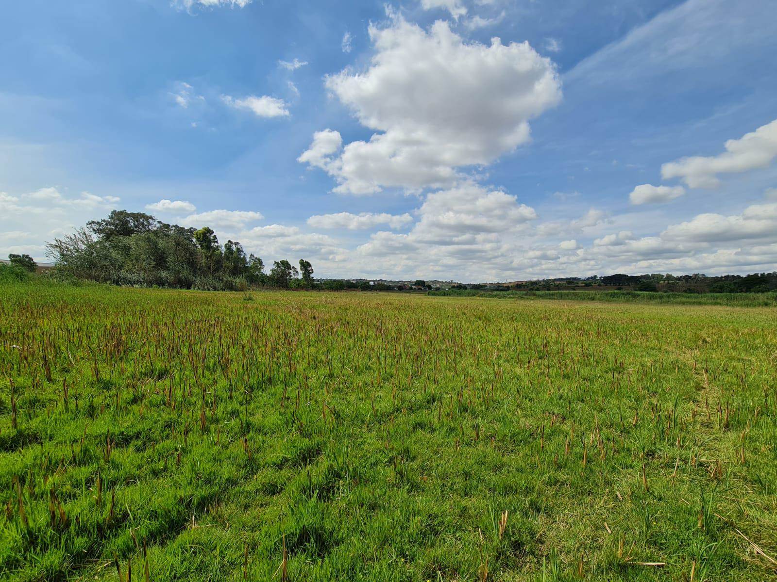 5.1 ha Land available in Wadeville photo number 5