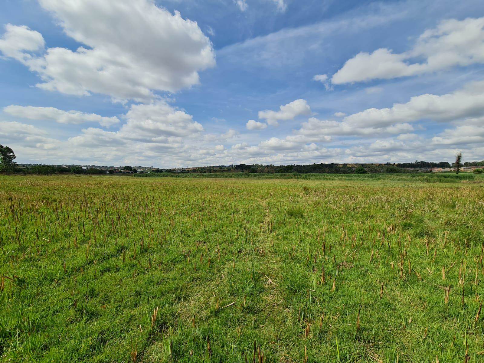 5.1 ha Land available in Wadeville photo number 2