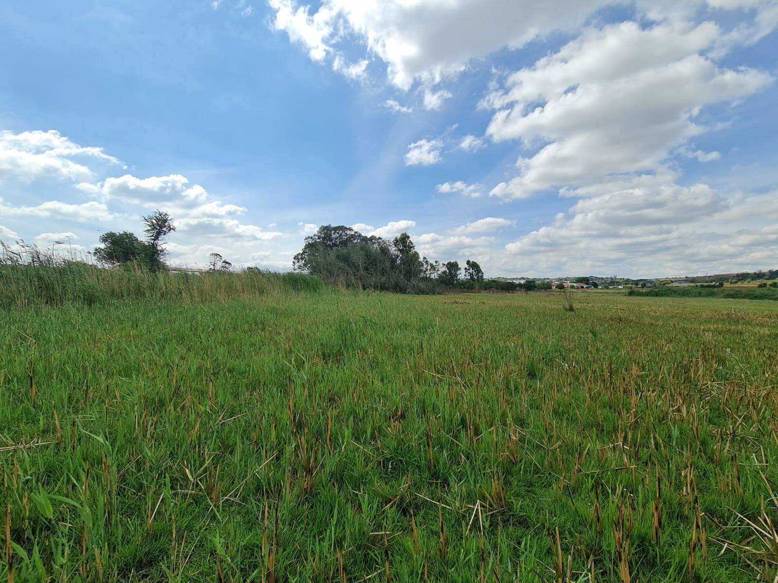 5.1 ha Land available in Wadeville photo number 13