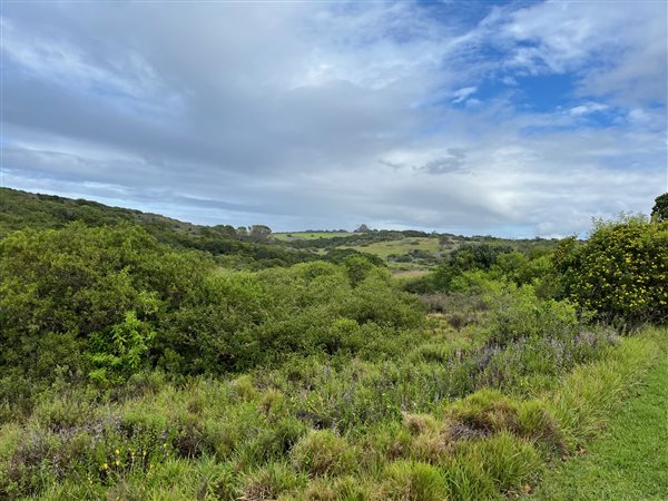 1 233 m² Land 1 233 m² Land