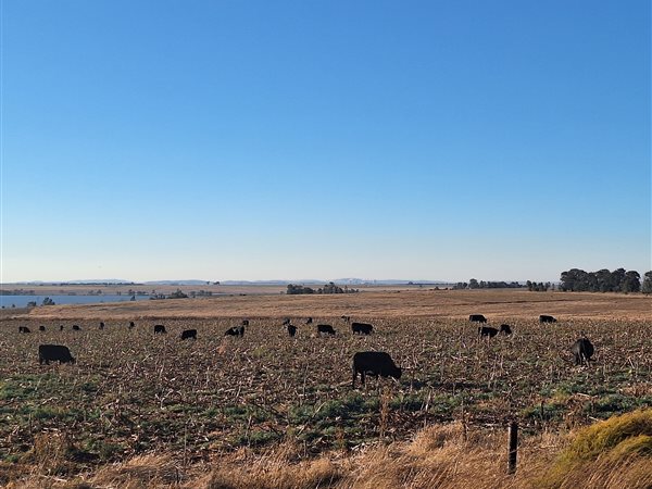 229 ha Farm 229 ha Farm