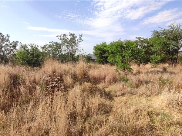 978 m² Land available in Doringkruin