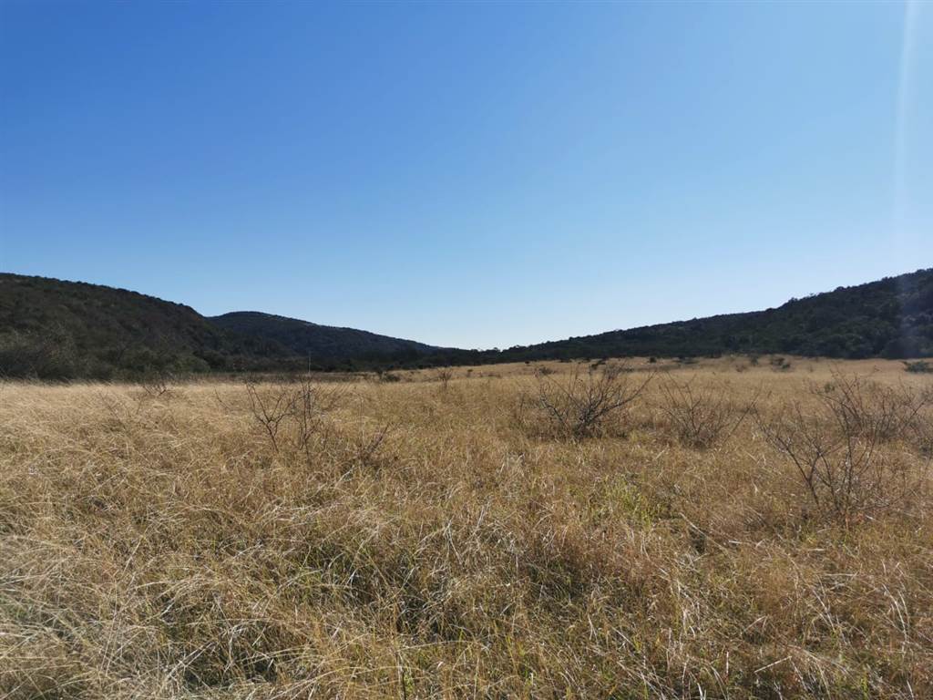 8 ha Land available in East London Rural photo number 11