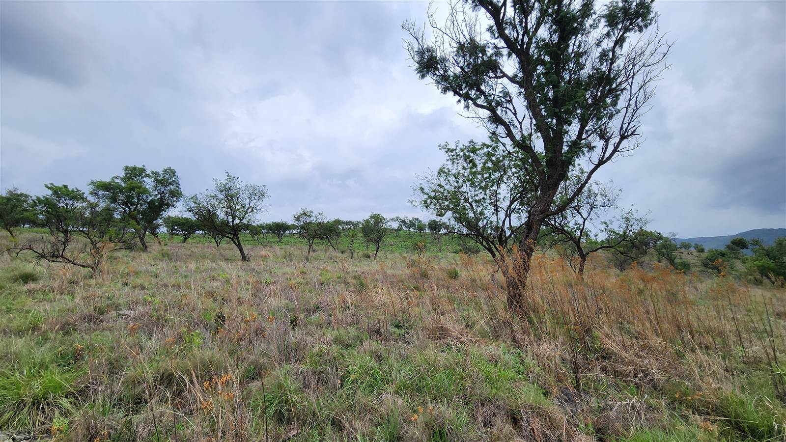 3.8 ha Land available in Hennops River photo number 3