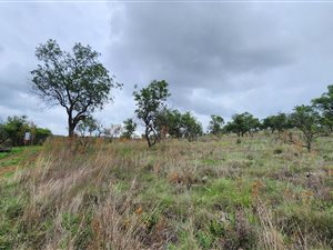 3.8 ha Land available in Hennops River