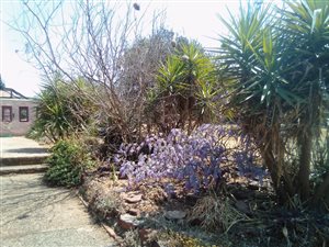 2.2 ha Farm in Hennops River