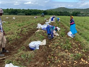 15 ha Farm in Weenen