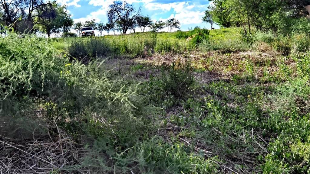 1367 m² Land available in Vaal de Grace Golf Estate photo number 4