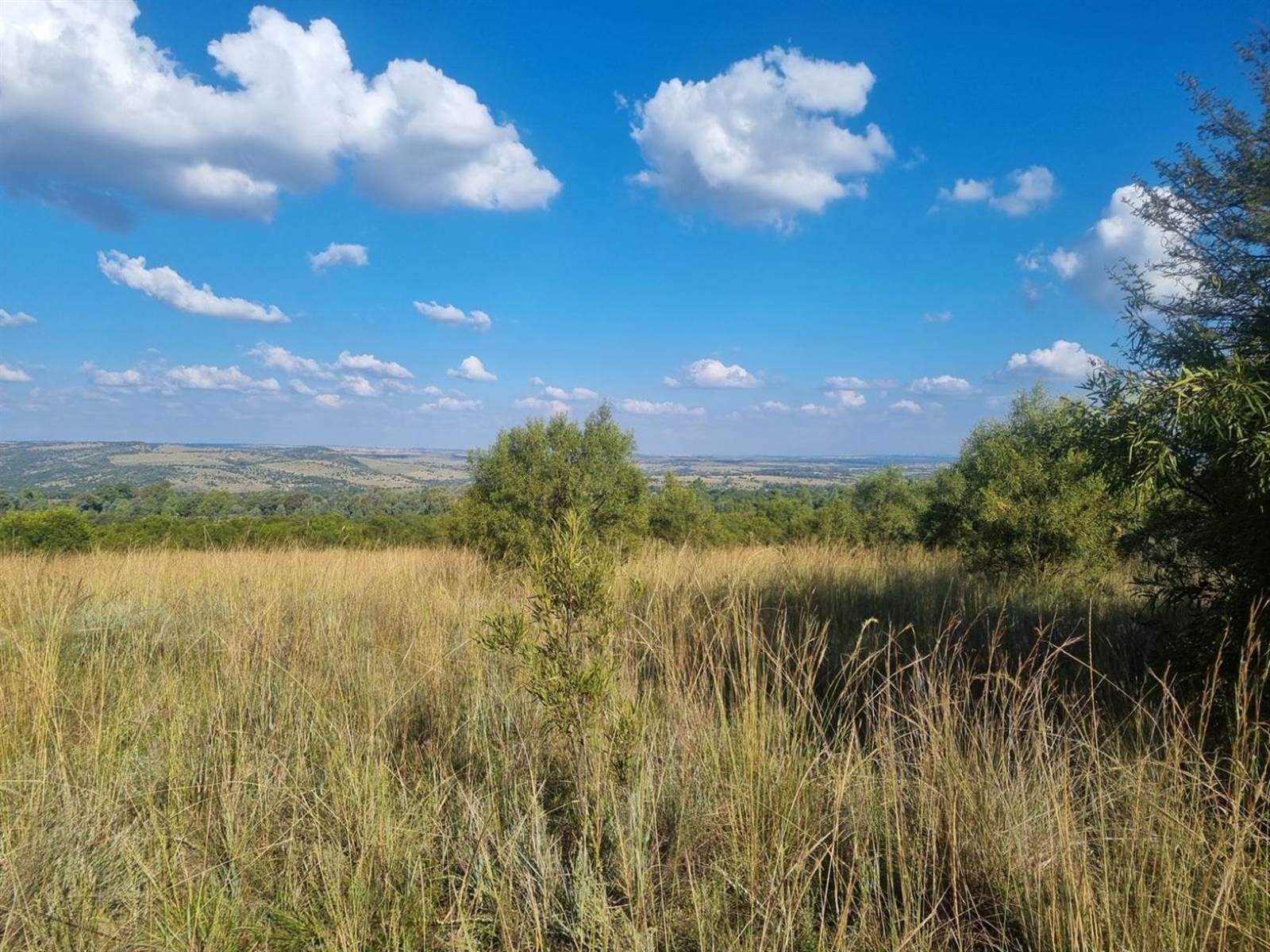 27 m² Land available in Lanseria and surrounds photo number 2