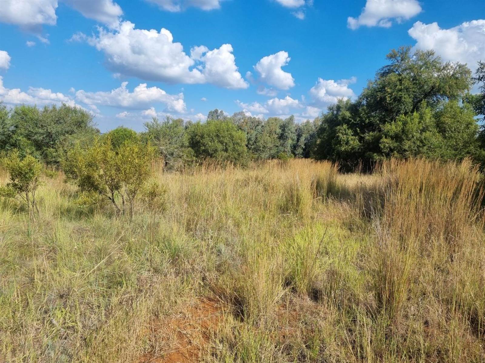 27 m² Land available in Lanseria and surrounds photo number 7