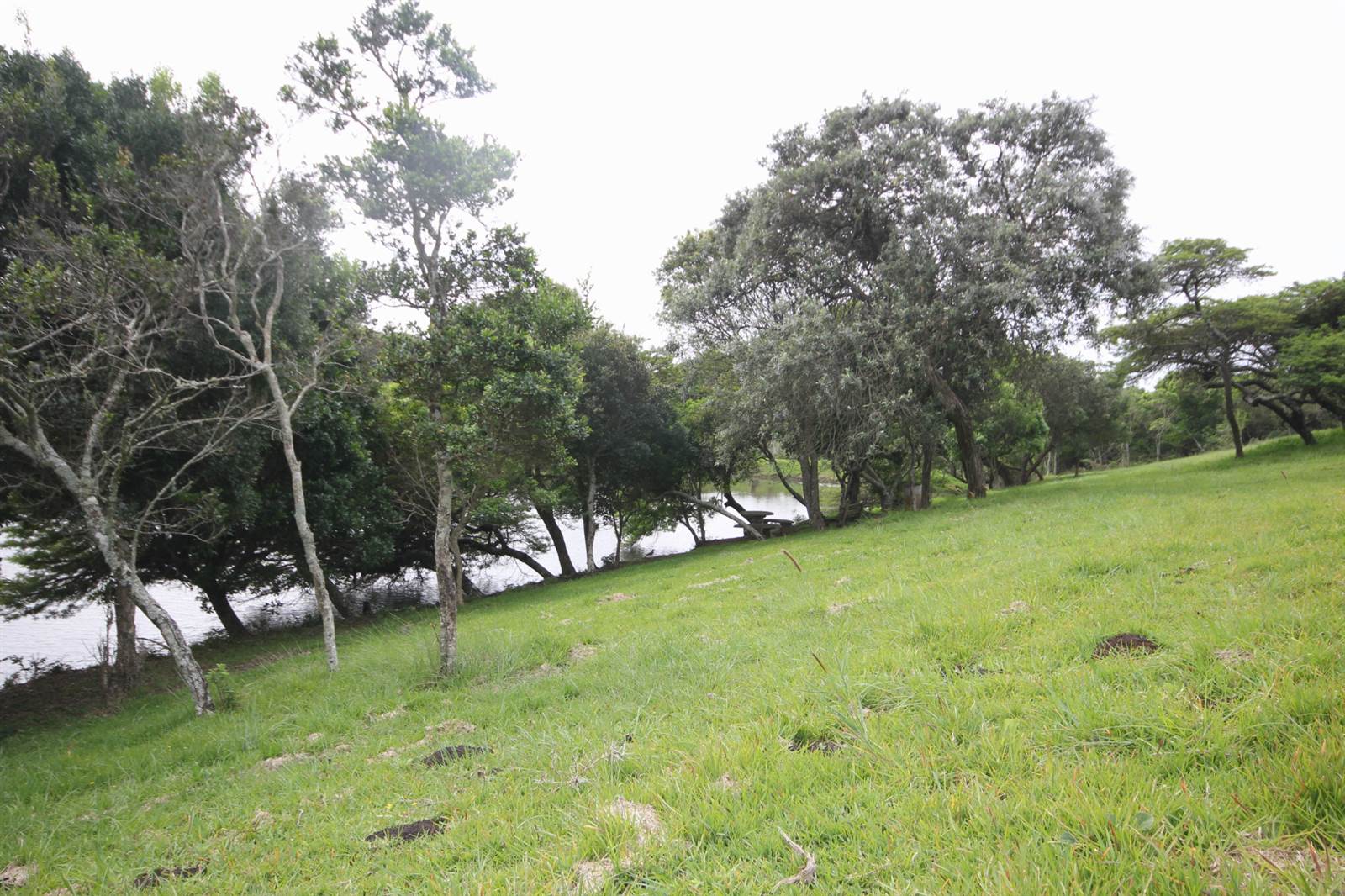 1092 m² Land available in Cintsa photo number 3
