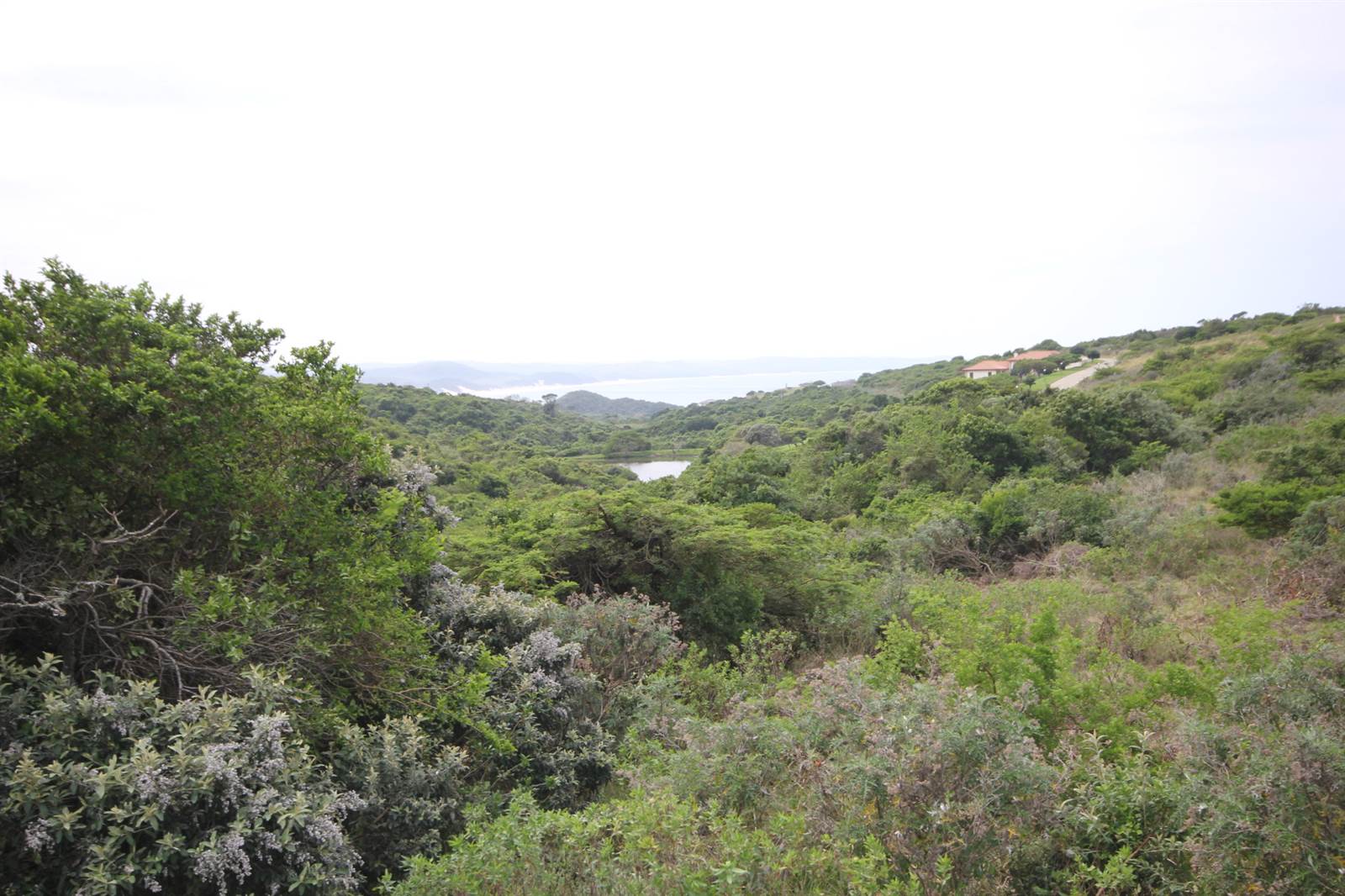 1092 m² Land available in Cintsa photo number 7