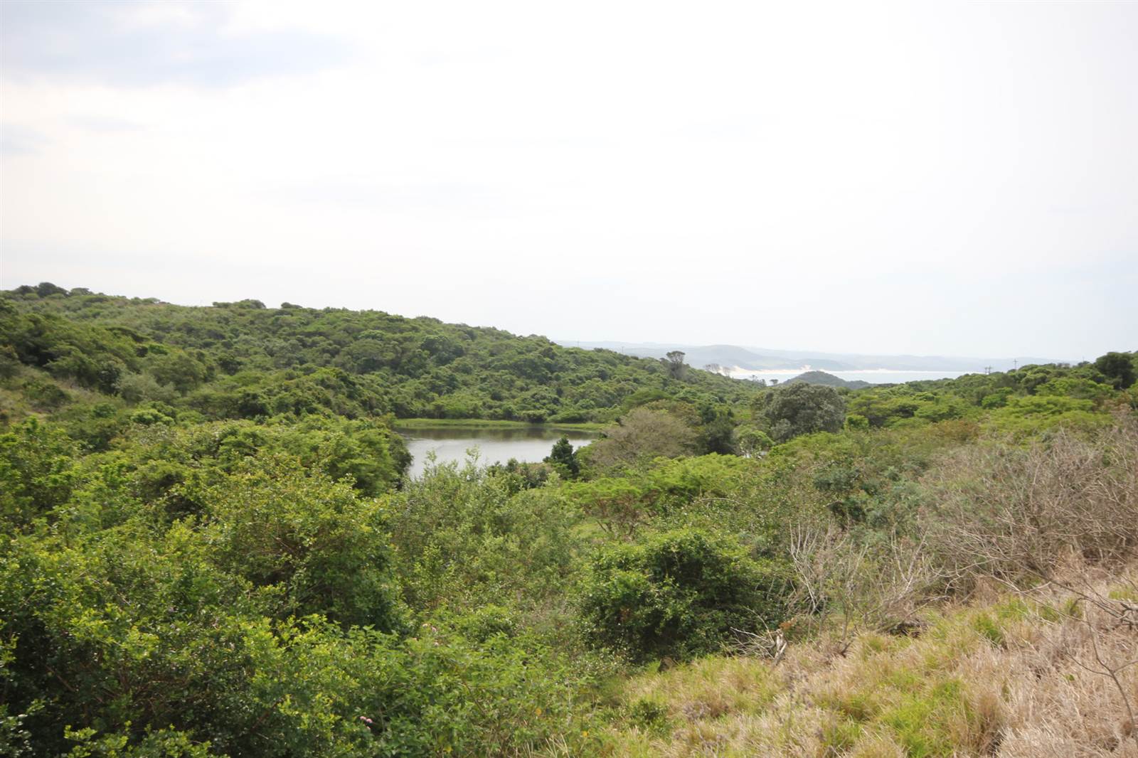 1092 m² Land available in Cintsa photo number 5