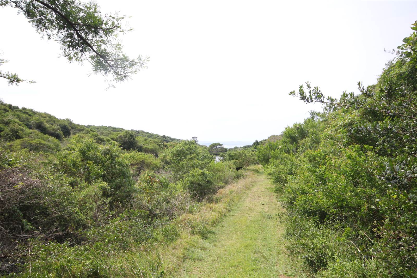 1092 m² Land available in Cintsa photo number 4