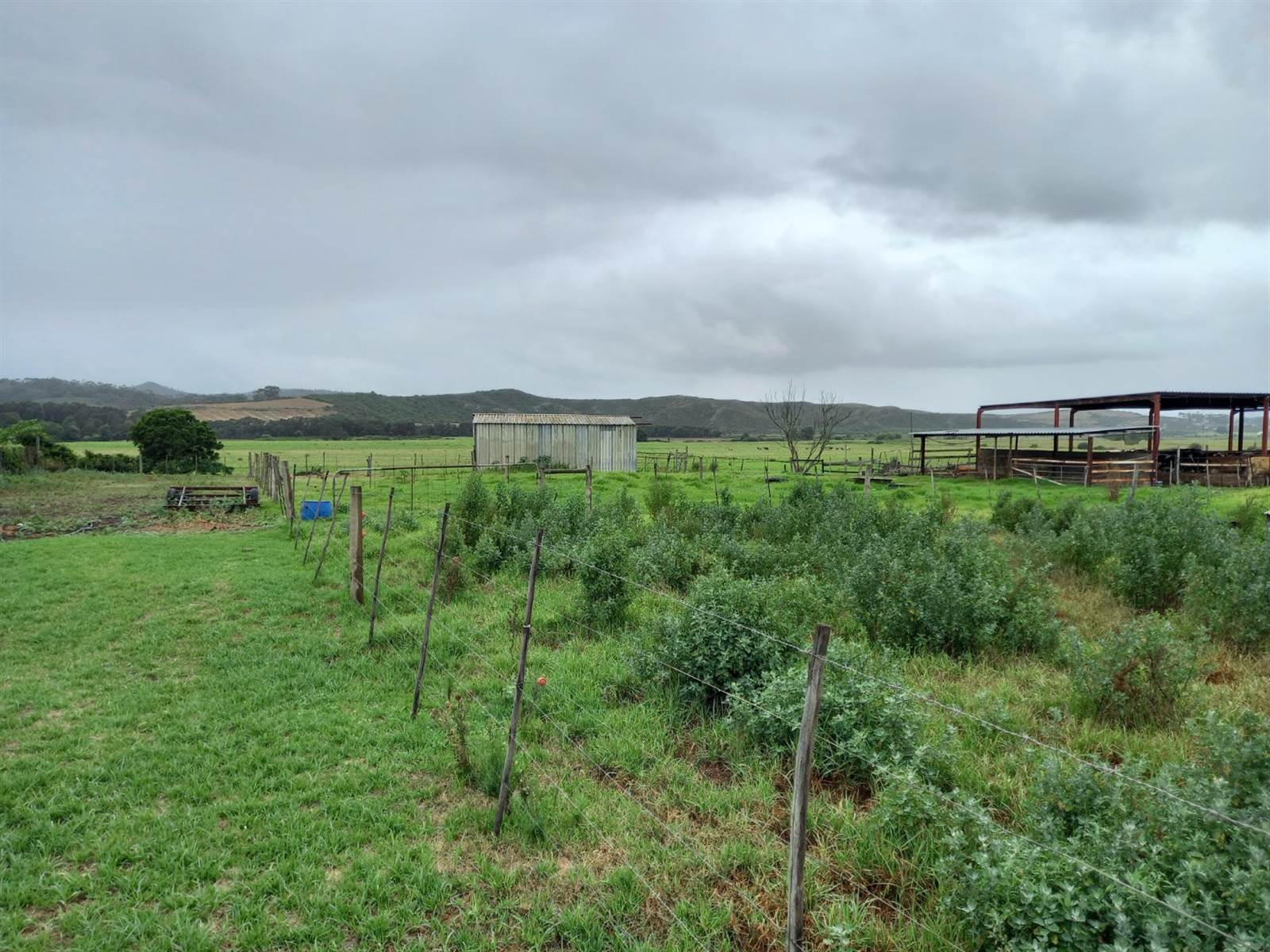 80 ha Farm in Riversdale photo number 21