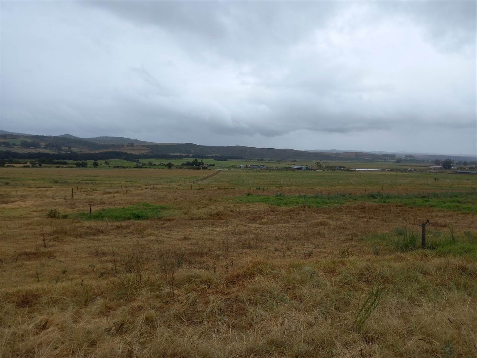 80 ha Farm in Riversdale photo number 23