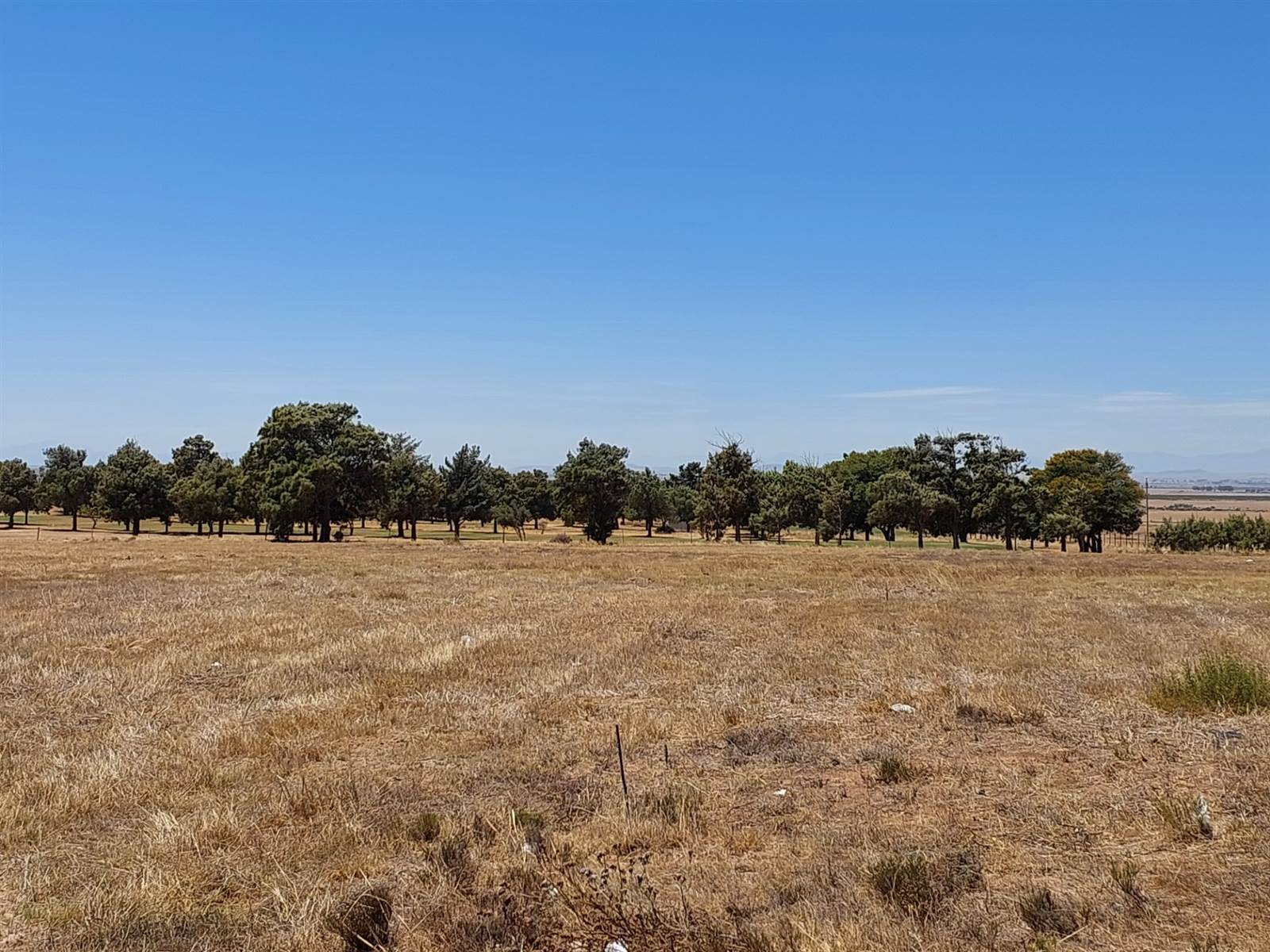 923 m² Land available in Darling photo number 1