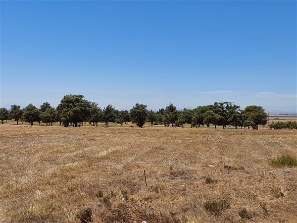 923 m² Land available in Darling