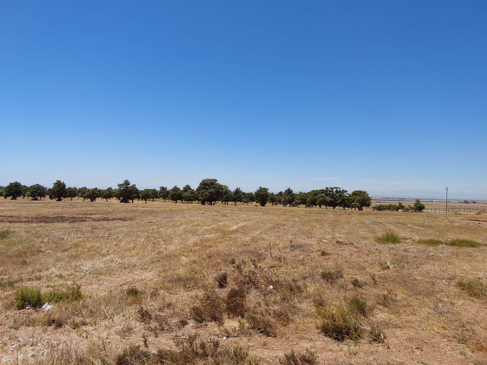 923 m² Land available in Darling photo number 4