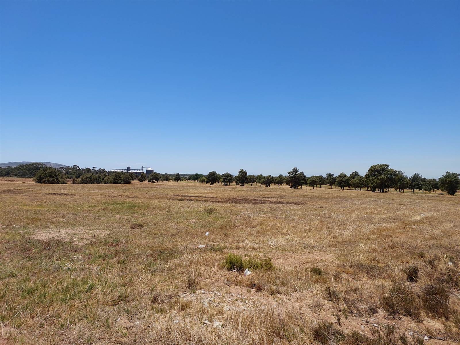 923 m² Land available in Darling photo number 5