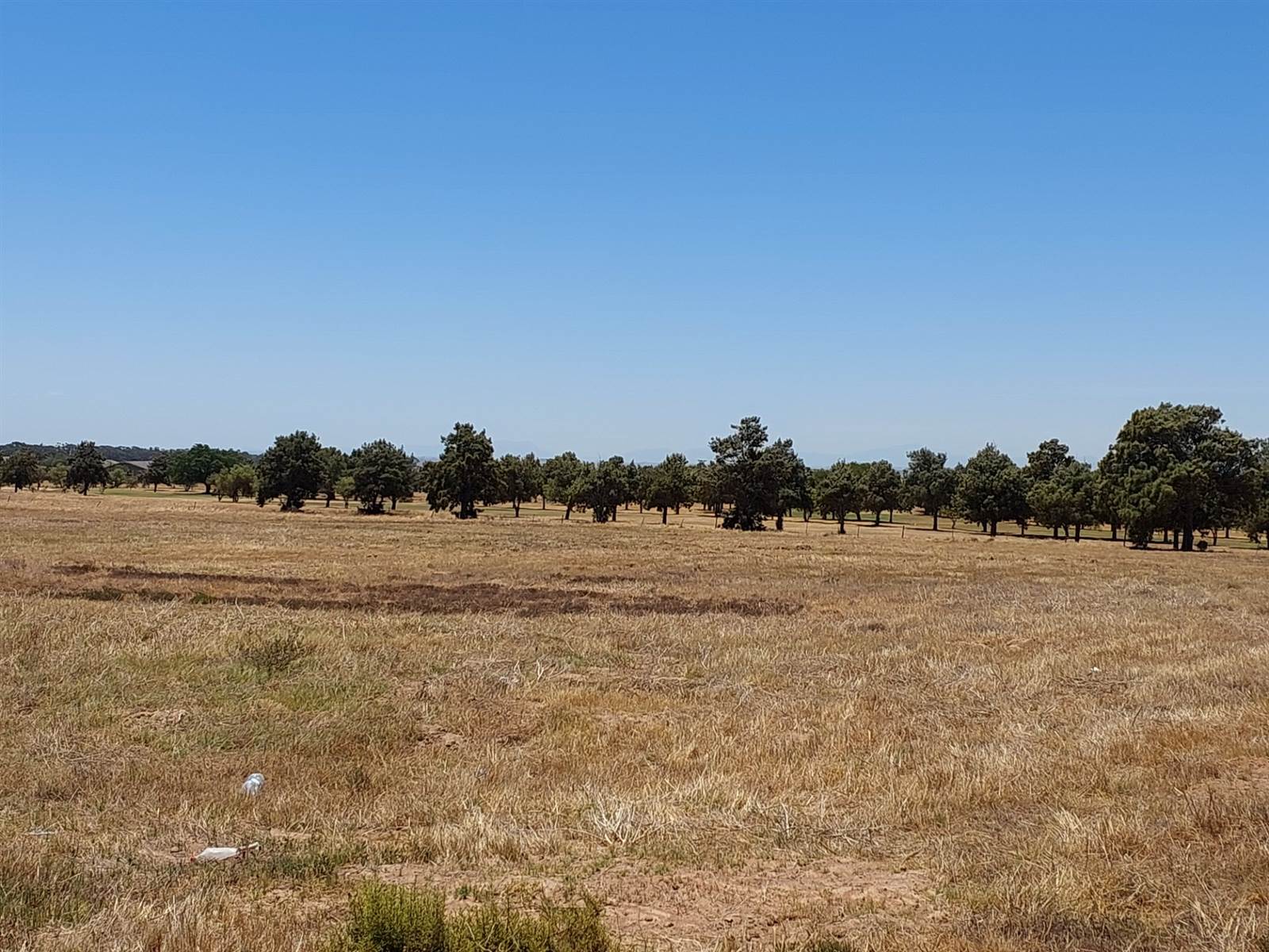 923 m² Land available in Darling photo number 6
