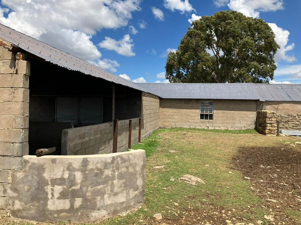 808 ha Farm in Bloemfontein Rural photo number 22