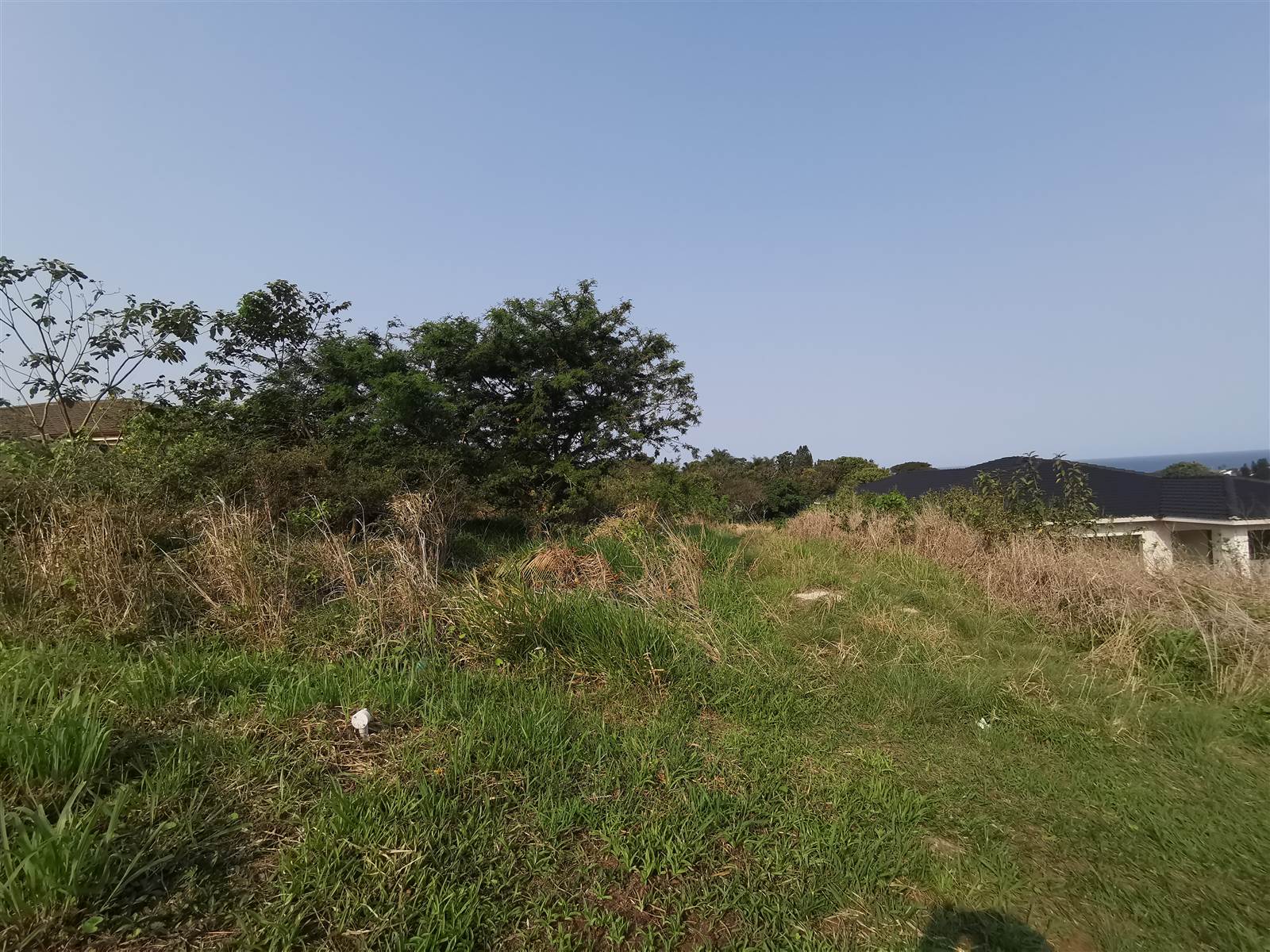 1451 m² Land available in Saiccor photo number 4