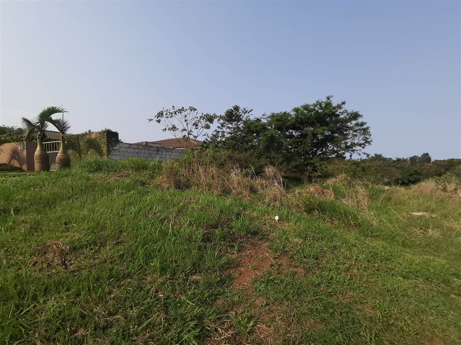 1451 m² Land available in Saiccor photo number 1