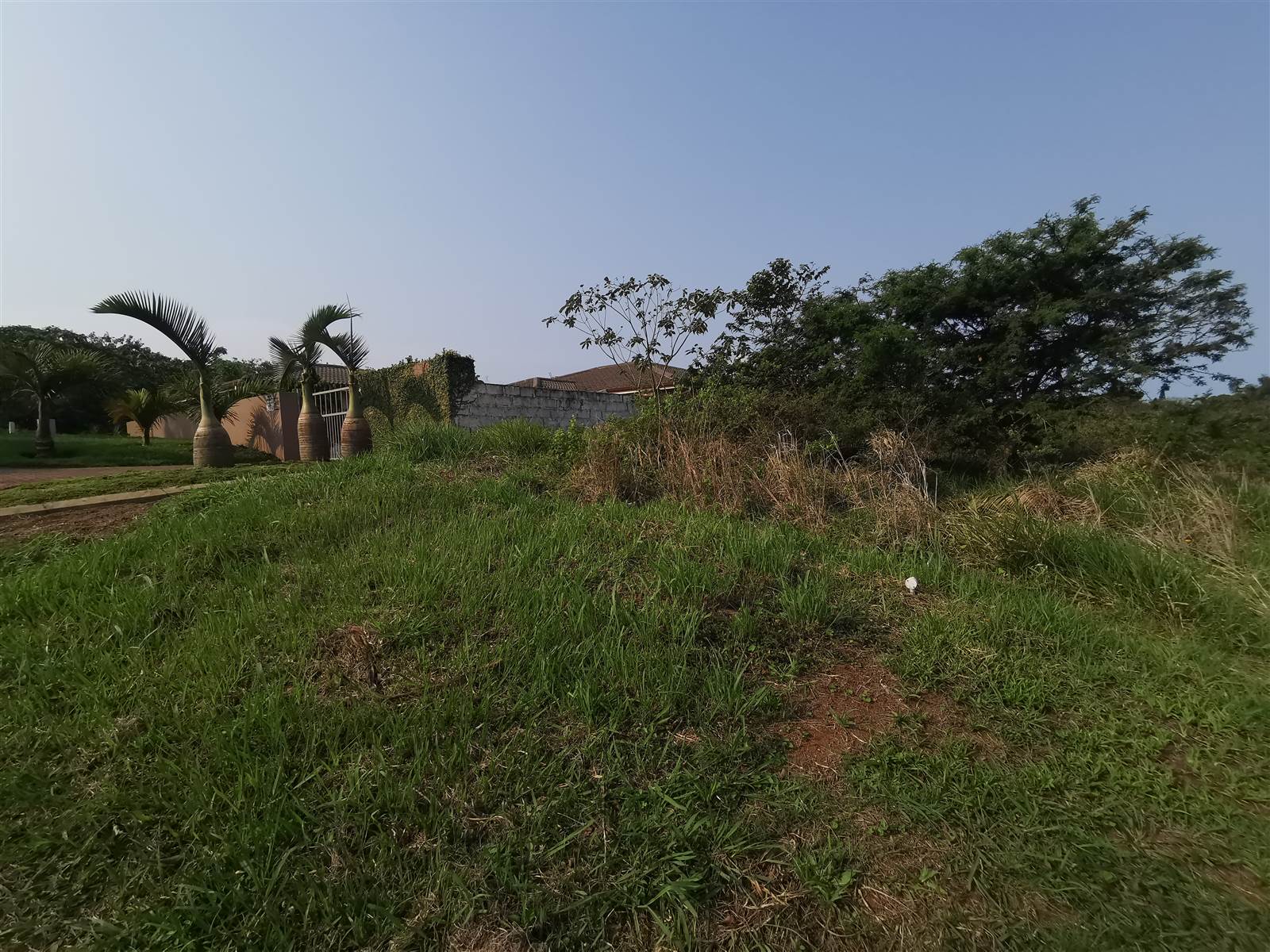 1451 m² Land available in Saiccor photo number 3