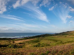 1390 m² Land available in Seaton Estate