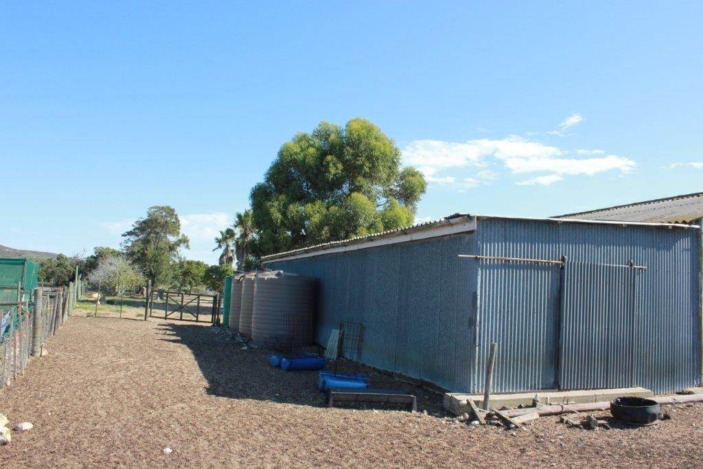 20 ha Farm in Riversdale photo number 25