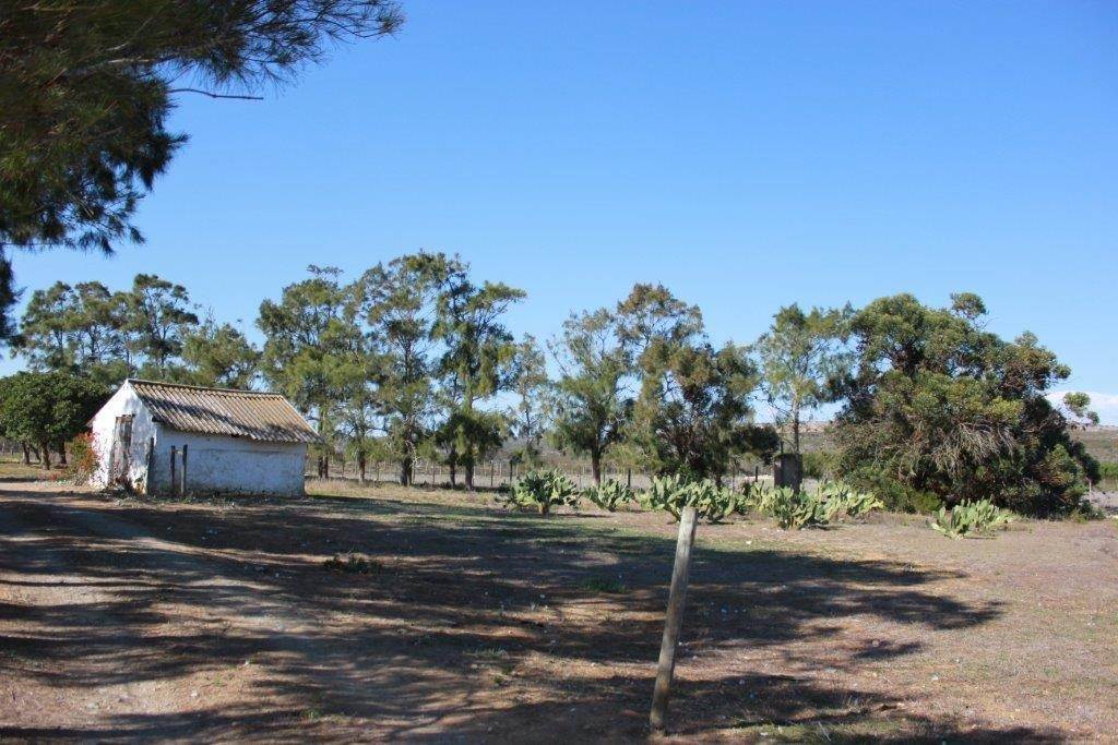 20 ha Farm in Riversdale photo number 16