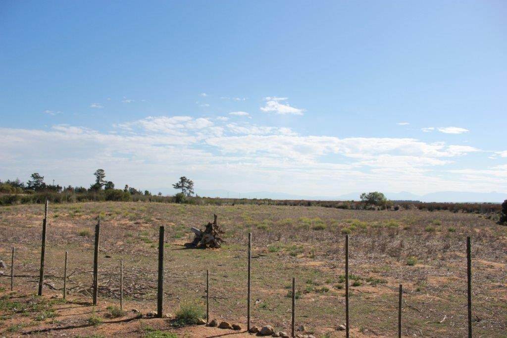 20 ha Farm in Riversdale photo number 6