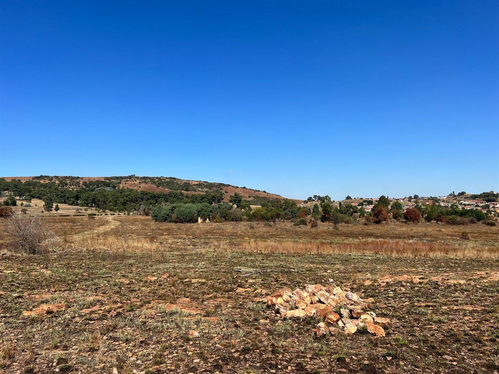 33.3 ha Farm in Zakariyya Park photo number 3