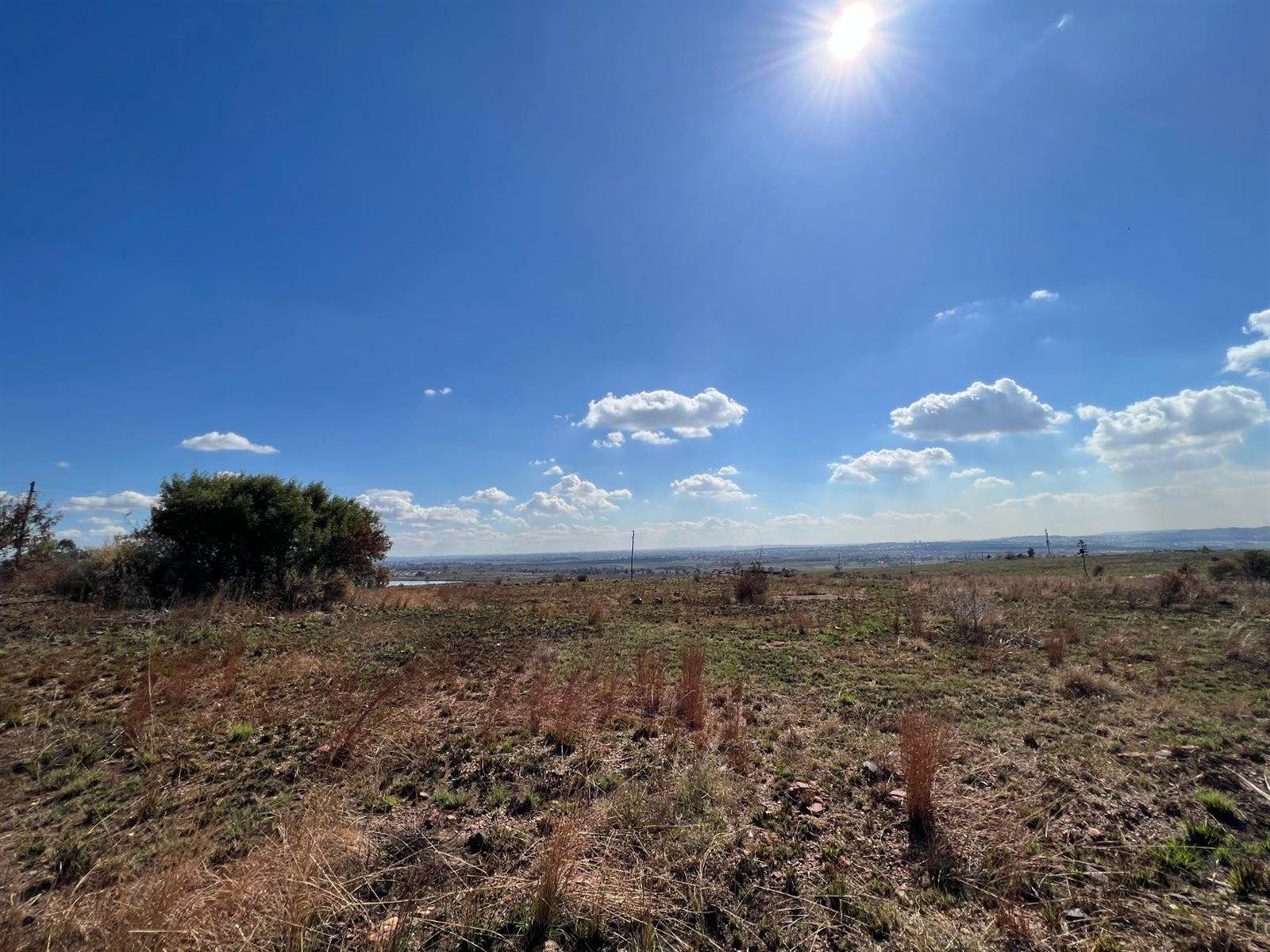 33.3 ha Farm in Zakariyya Park photo number 20