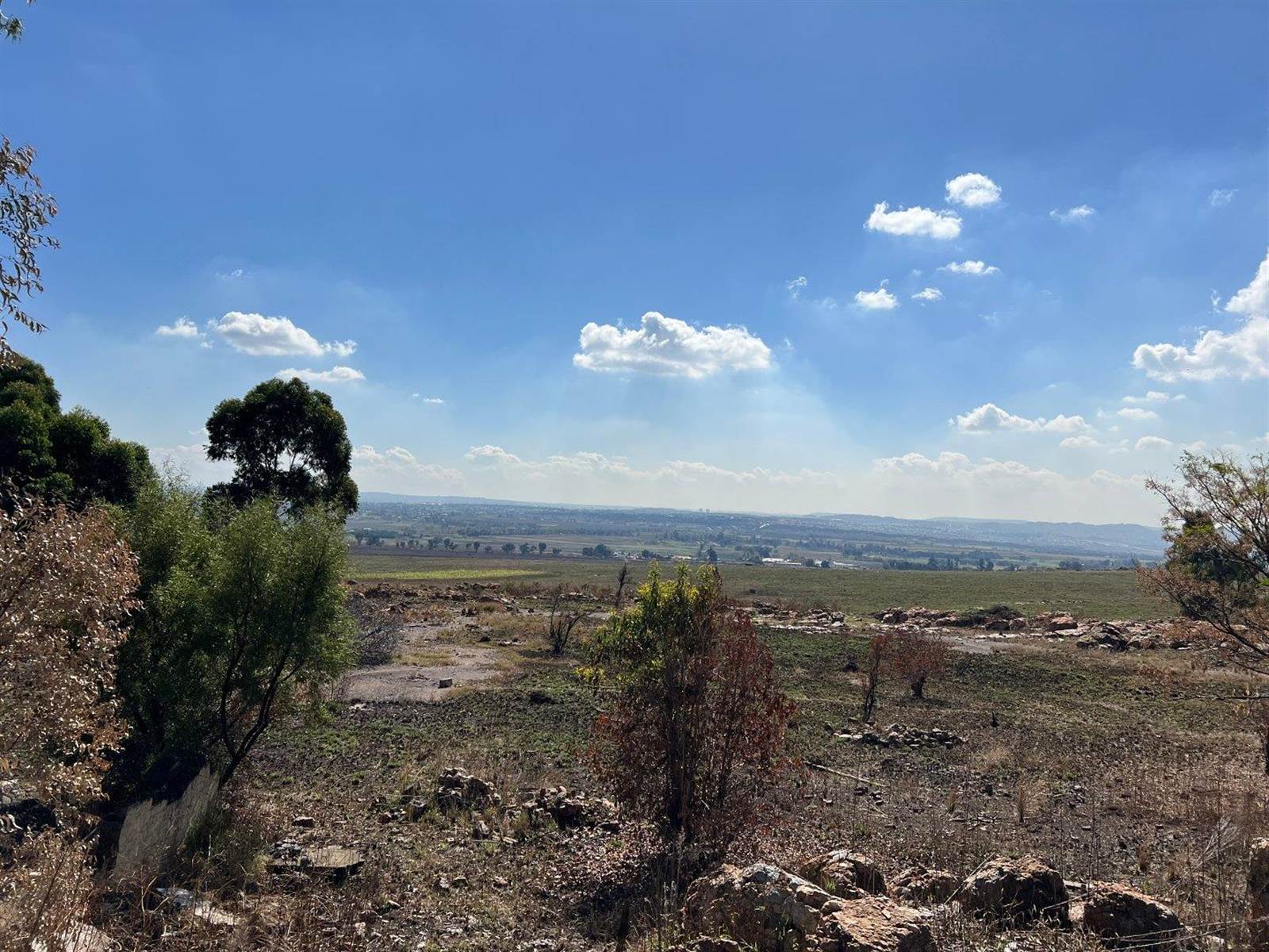 33.3 ha Farm in Zakariyya Park photo number 6